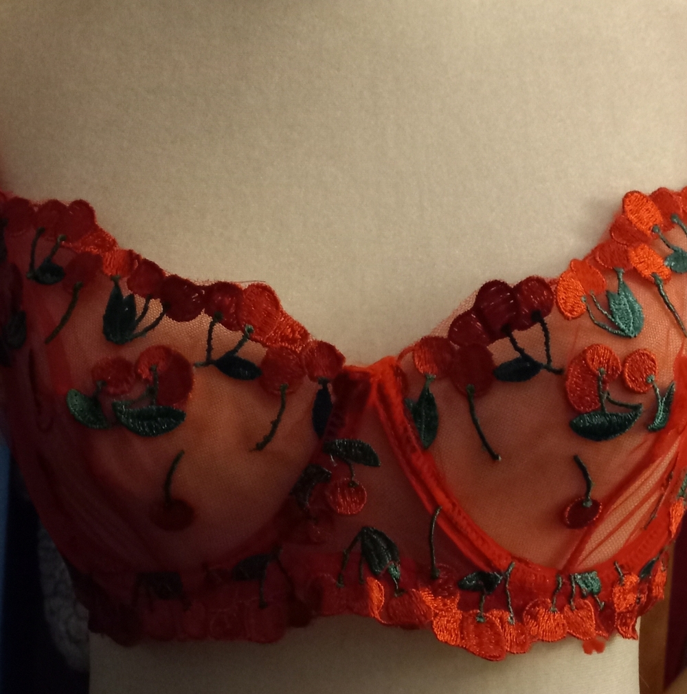 New,red sheer mesh cherries  embroidered underwire bra & thong lingerie size med - Picture 4 of 13
